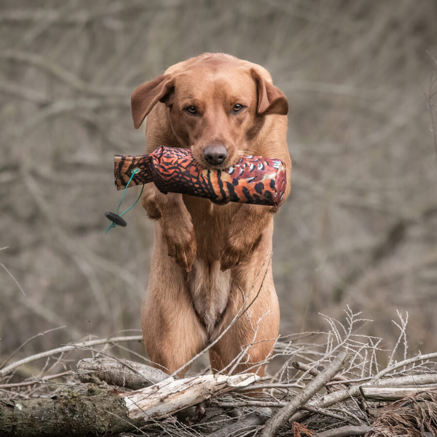 FLIGHT Cock Pheasant 1lb Dummy