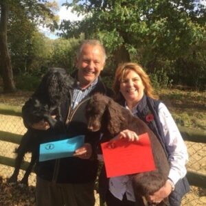 Advanced Placeboard Training DVD with Team Rytex - Image 4