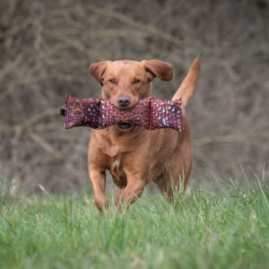 3 Piece Dummy - Image 3