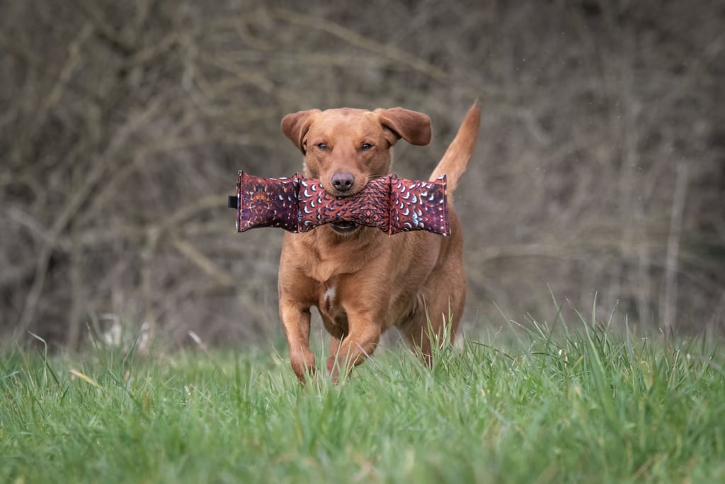 3 Piece Dummy - Image 3