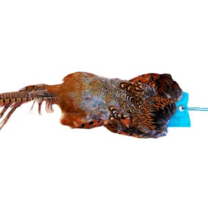 Cock Pheasant Pelt - Image 7