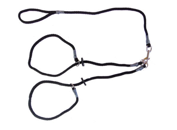 Brace Set - Slip Lead (2 Dogs)