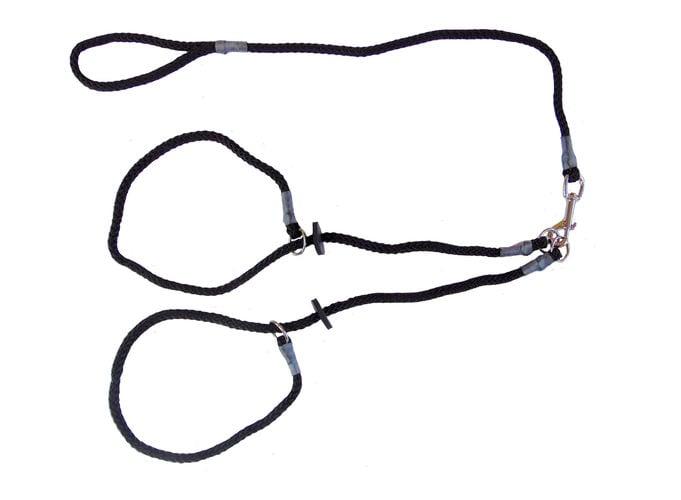 Brace Set - Slip Lead (2 Dogs) - Image 1