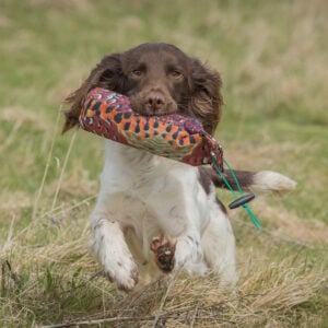 1lb Canvas Dummy - Image 3