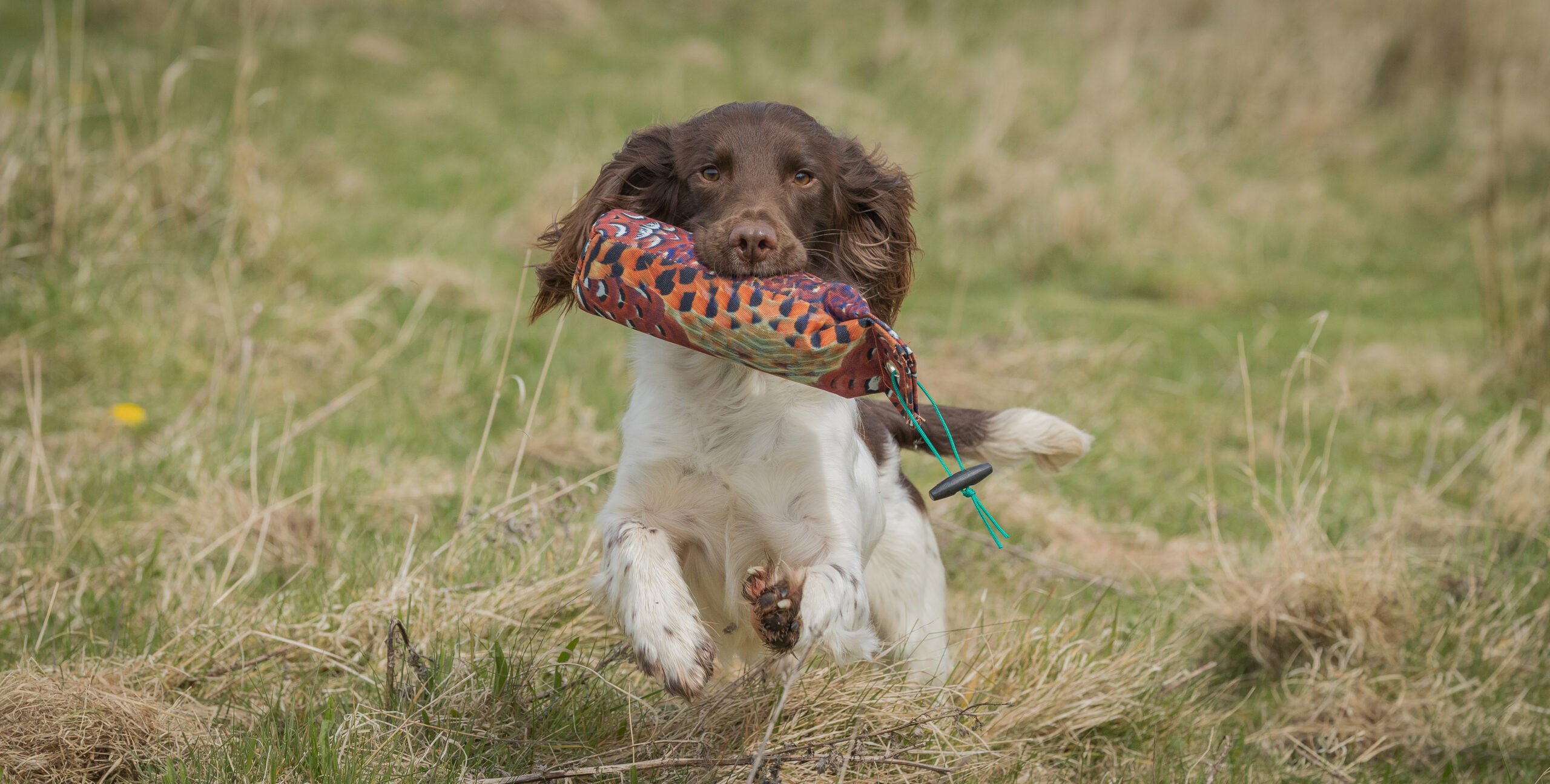 1lb Canvas Dummy - Image 3
