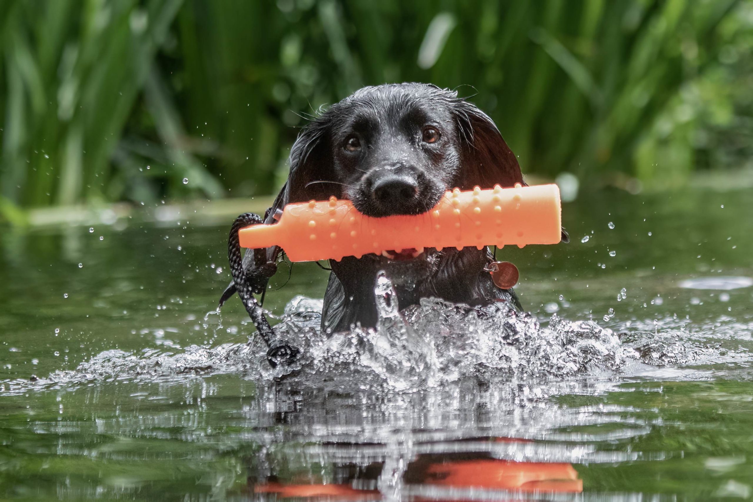 Water Dummy 2" & 3" - Image 3