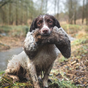 All in One Rabbit Dummy - Image 2