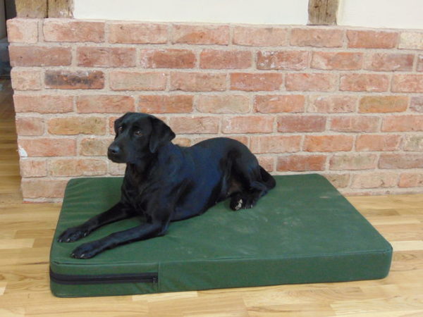 The Winslow Dog Bed