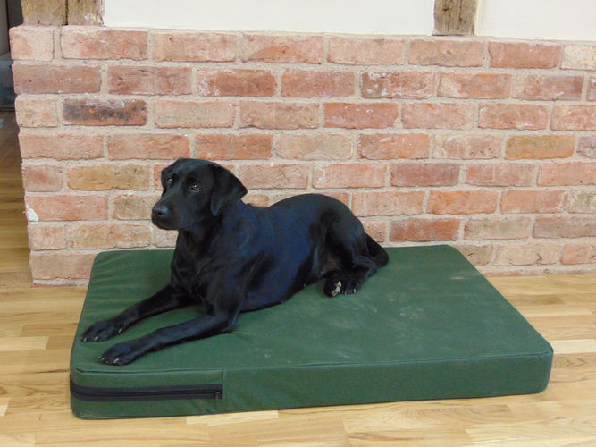 The Winslow Dog Bed - Image 3