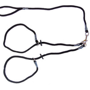 Brace Set - Slip Lead (2 Dogs) - Image 6