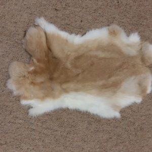 Cured Rabbit Skin - SALE ITEM