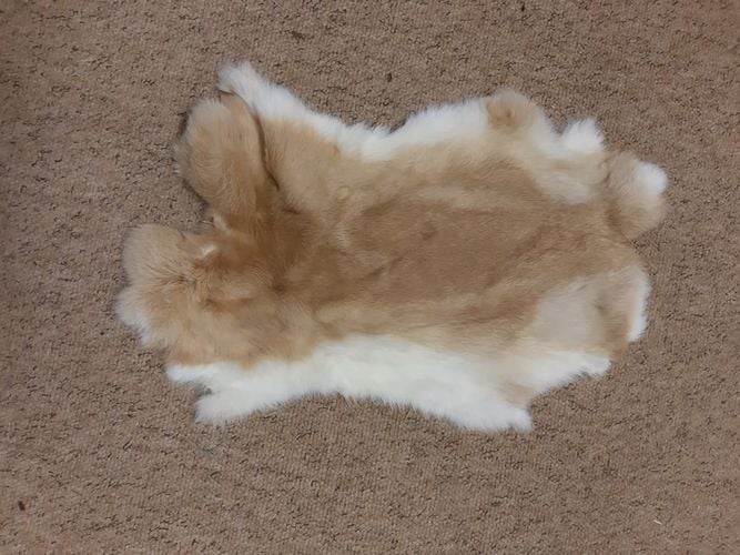 Cured Rabbit Skin - SALE ITEM - Image 1
