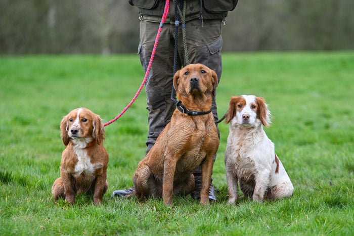 12mm Slip Lead - Image 2