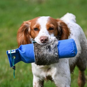 Rabbit Wrap - Image 2