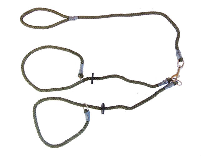 Brace Set - Slip Lead (2 Dogs) - Image 7