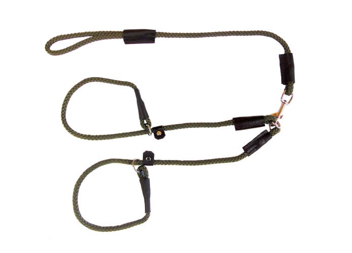 Brace Set - Slip Lead (2 Dogs) - Image 9