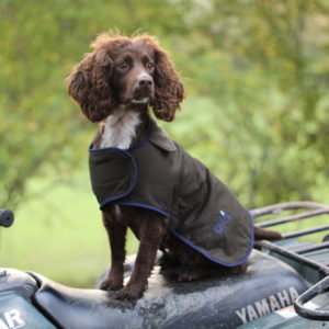 The Winslow Dog Coat - Waterproof & Warm - Image 3