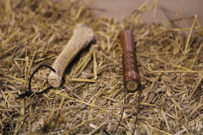 Staghorn Priest - Image 2