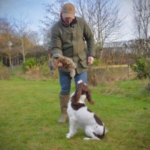 BG Rabbit by Ben Randall - Image 4