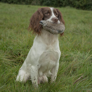 Disc Dummy Range - Image 3