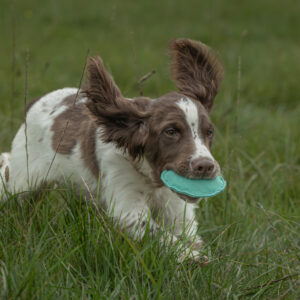 Disc Dummy Range - Image 4