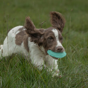 Disc Dummy Range - Image 4