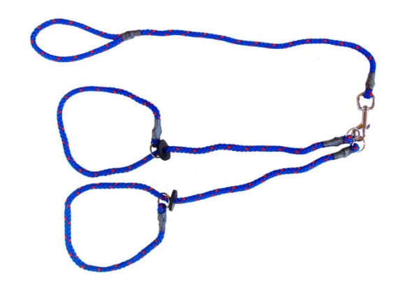 Brace Set - Slip Lead (2 Dogs)