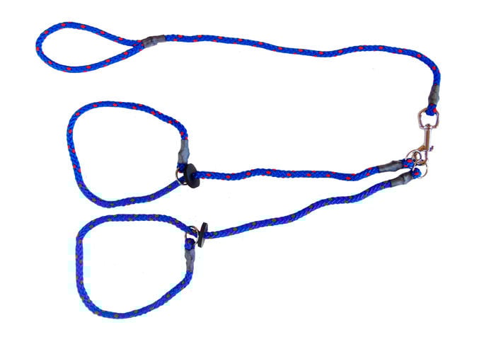 Brace Set - Slip Lead (2 Dogs) - Image 6