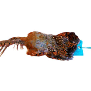 Cock Pheasant Pelt - Image 6