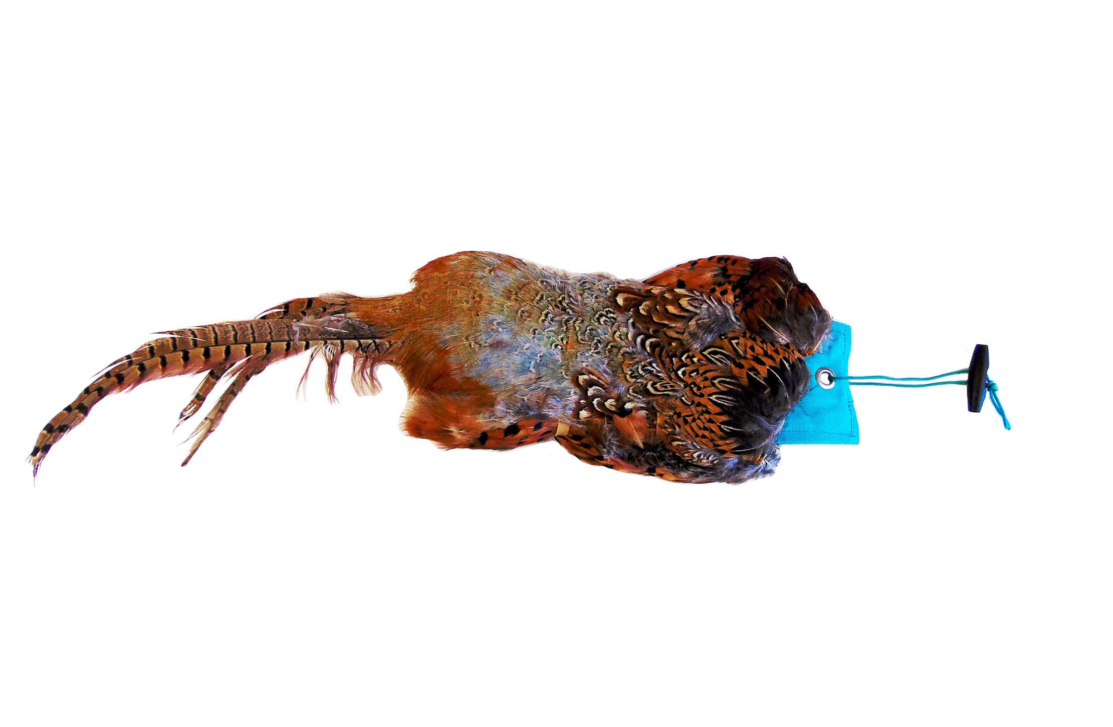 Cock Pheasant Pelt - Image 6