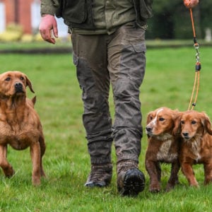 Field Trial PRO Brace Set - Image 3