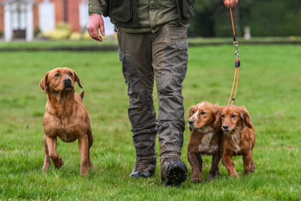 Field Trial PRO Brace Set