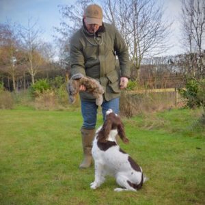 Cushion Web Slip Lead - Image 2