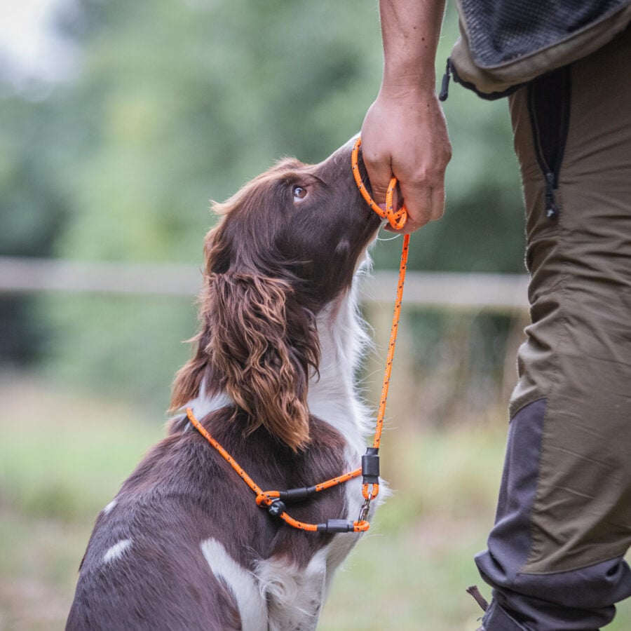 Field Trial PRO Swivel Slip Lead