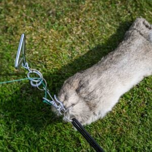 Bolting Rabbit - Image 2