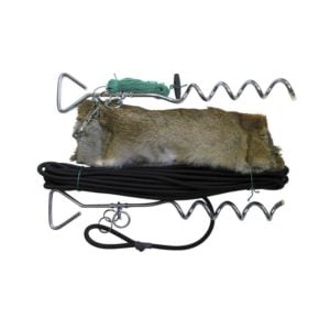 Bolting Rabbit - Image 1