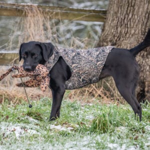 Neoprene Dog Vest - Image 2