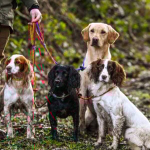 Gundog Slip Lead Collection - Image 2
