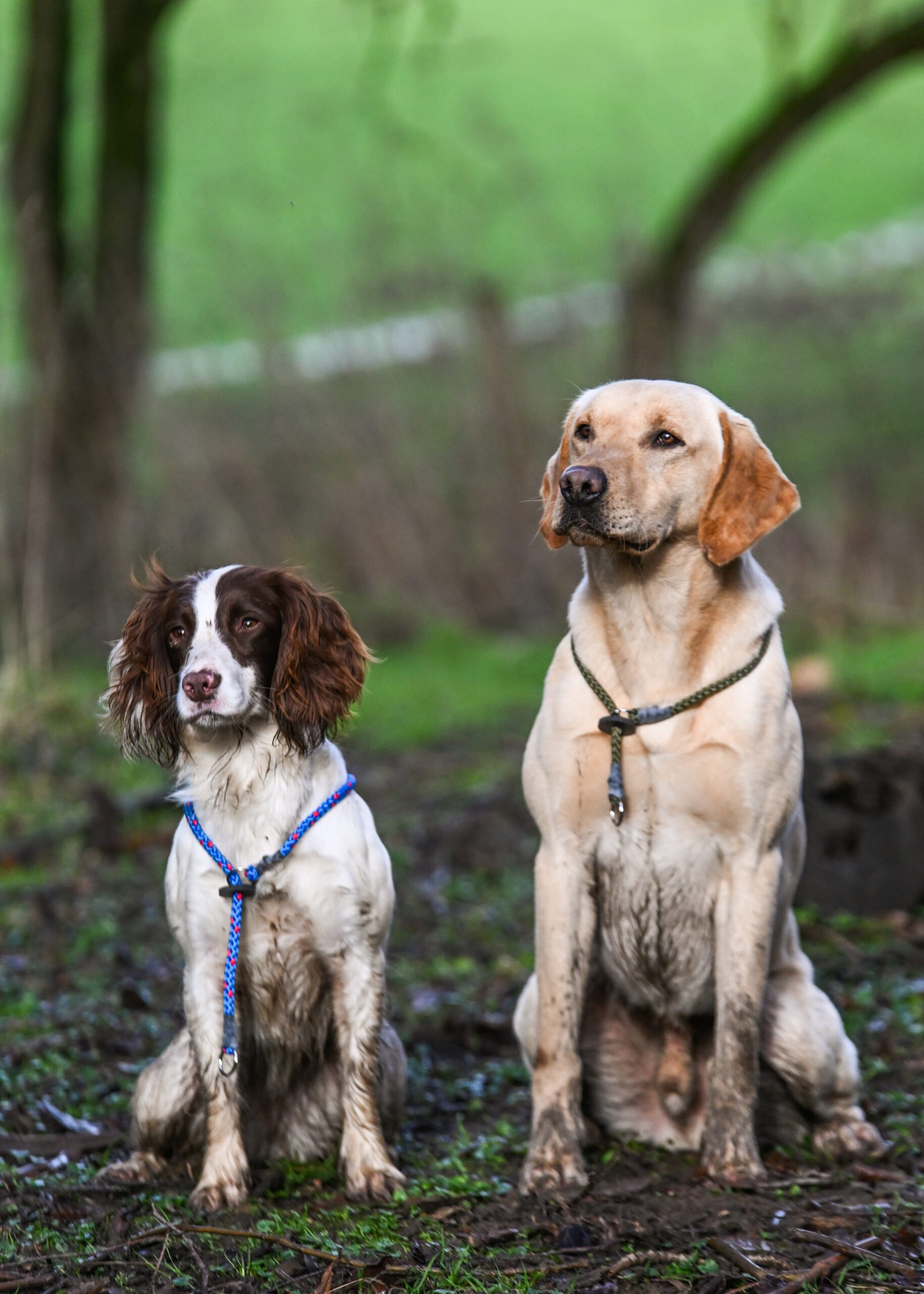 Slip Collar - Image 3