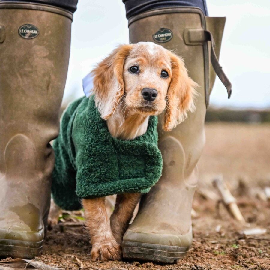 Towelling Drying Dog Coat - Wet to Dry in 20mins