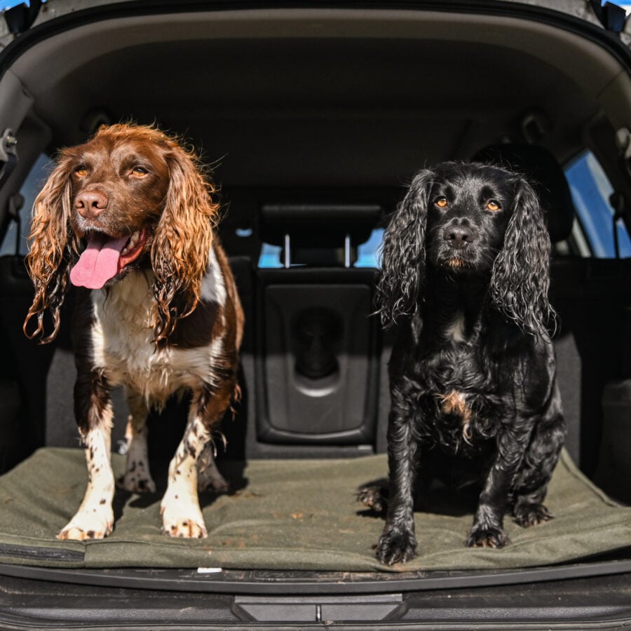 The Meadow Boot Dog Bed