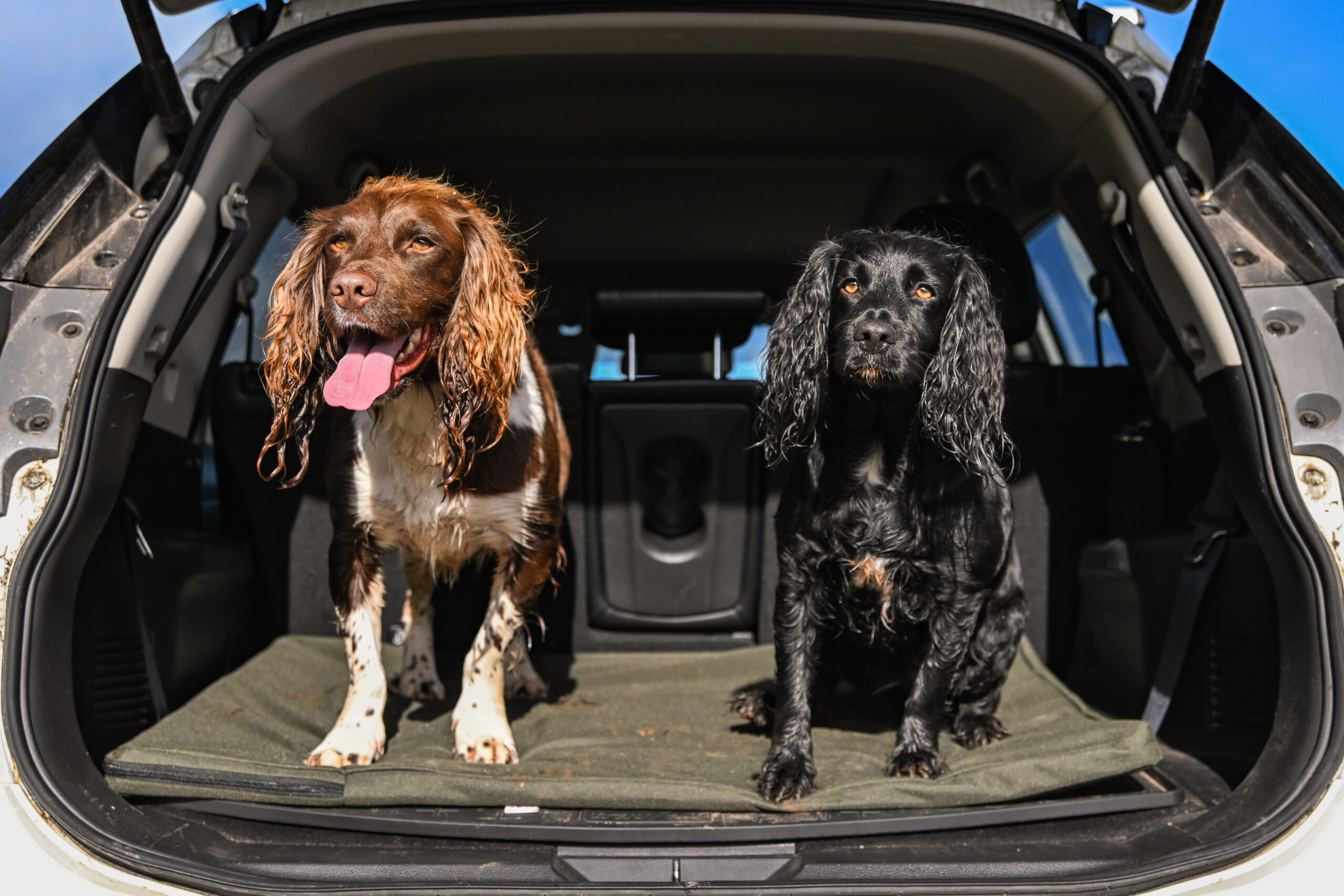 The Meadow Boot Dog Bed - Image 3
