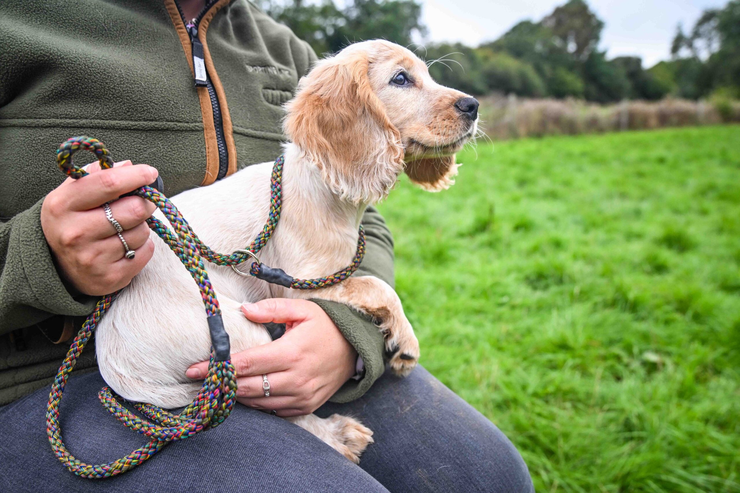 Gundog Slip Lead Collection - Image 2