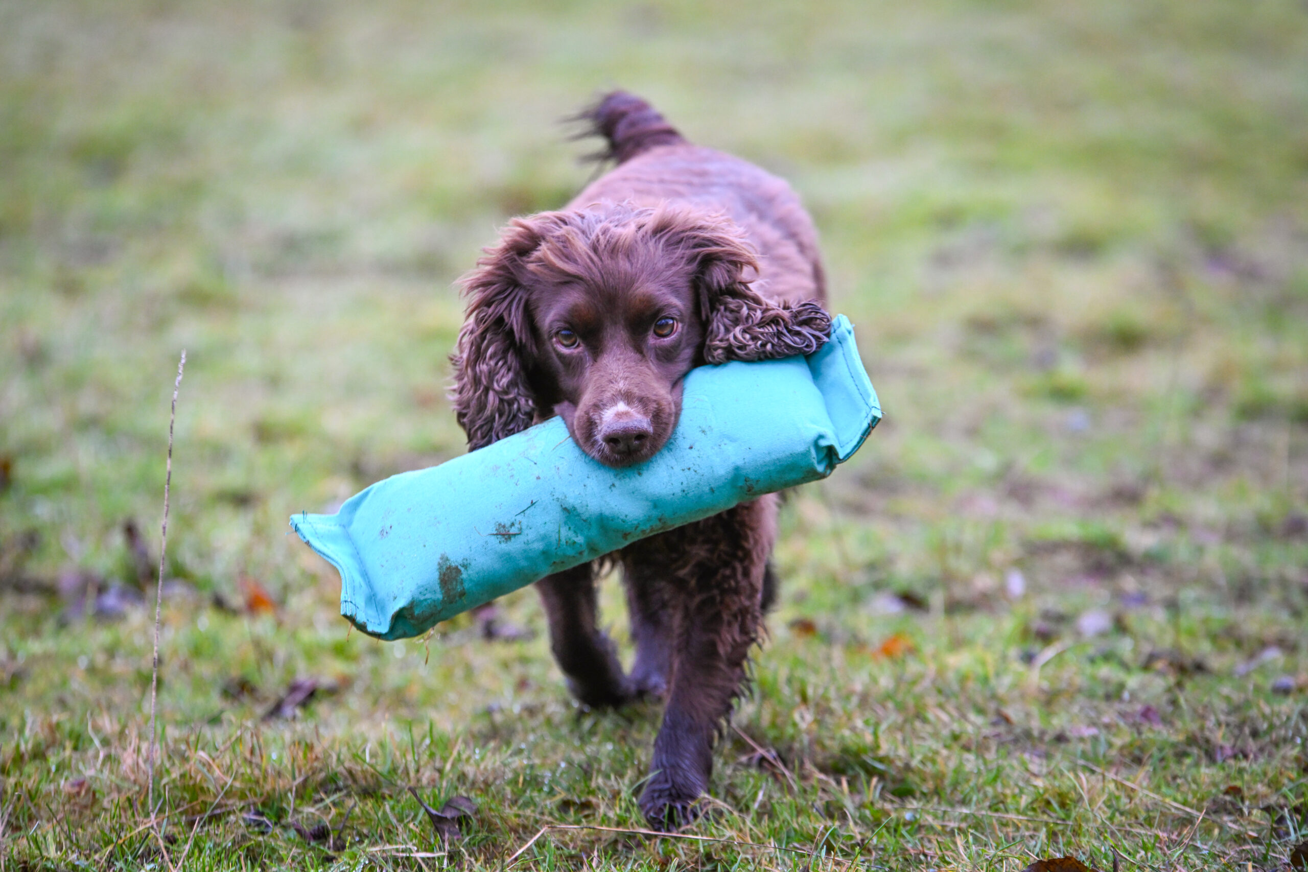 Goose & Hare Dummy - Image 3