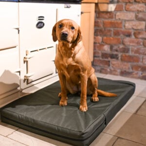 The Winslow Dog Bed - Image 3