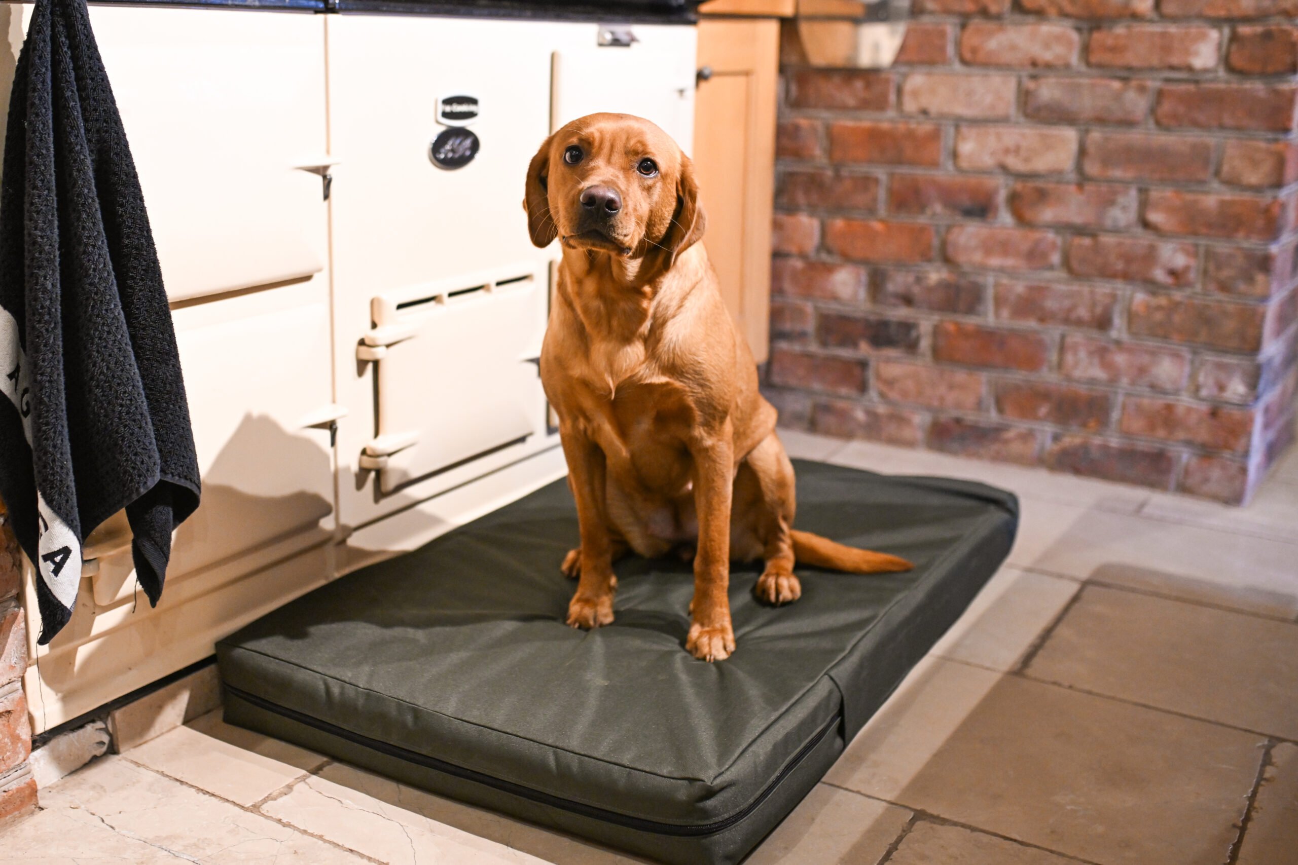 The Winslow Dog Bed - Image 3