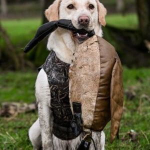 Dead Bird Dummy - Goose - Image 2