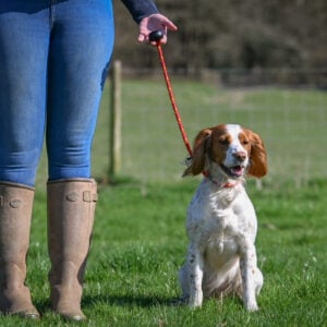 Heeling Lead - Image 2