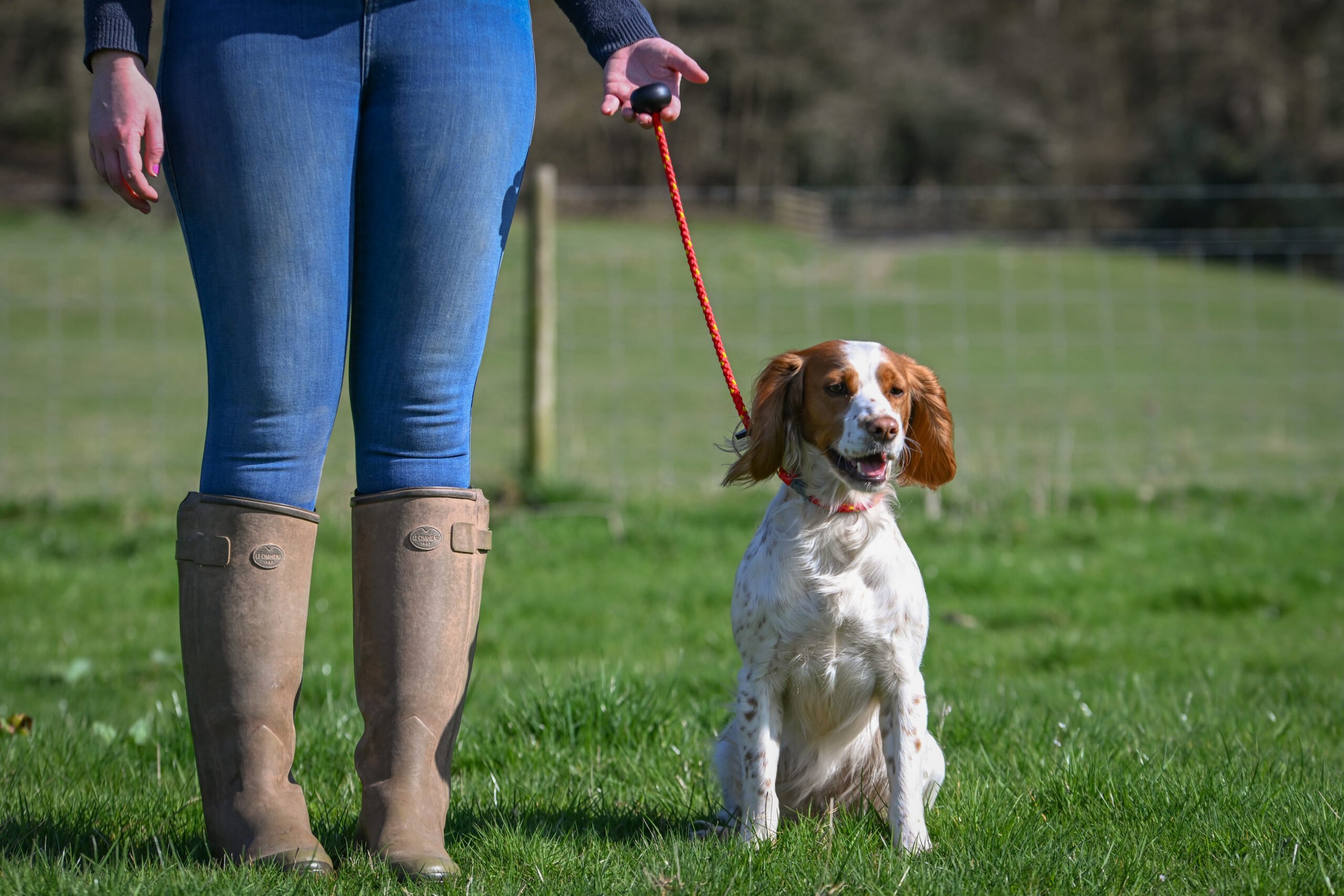 Heeling Lead - Image 2