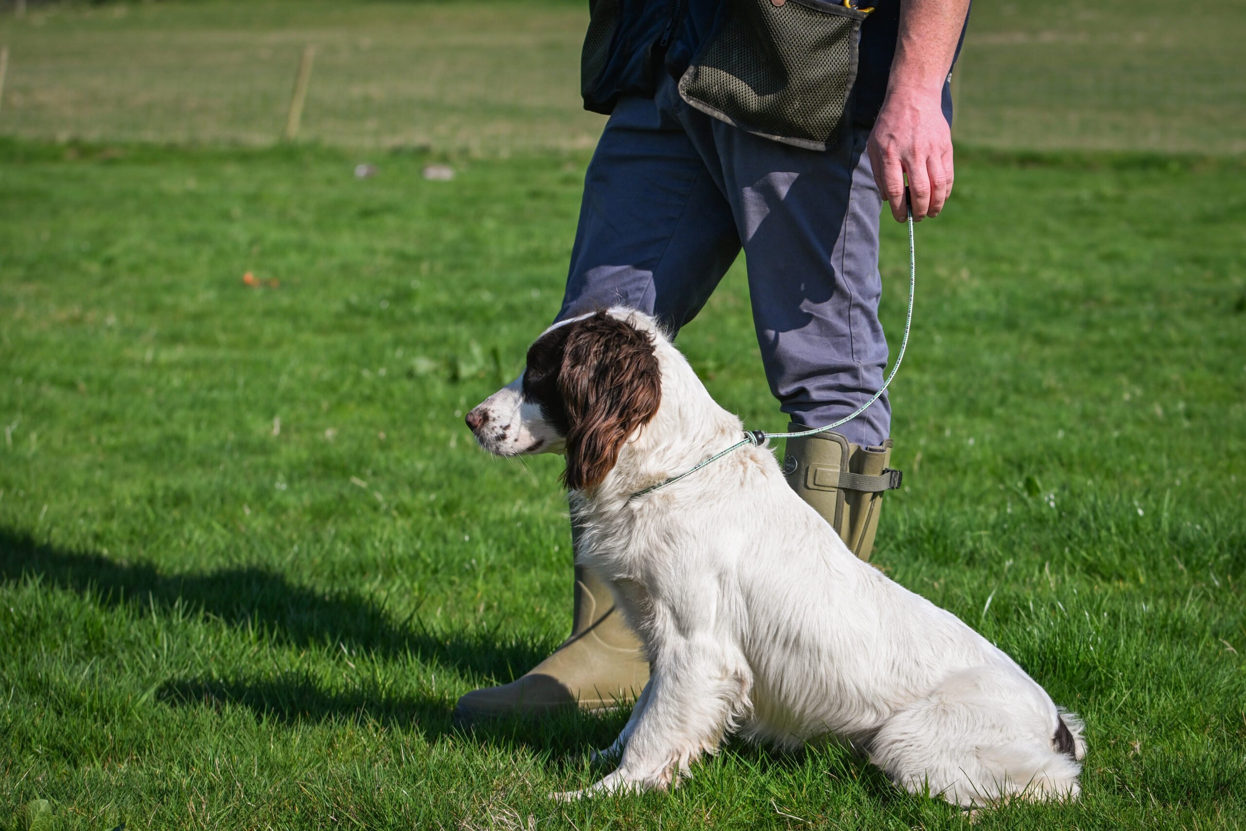 Field Trial PRO Heeling Lead - Image 3